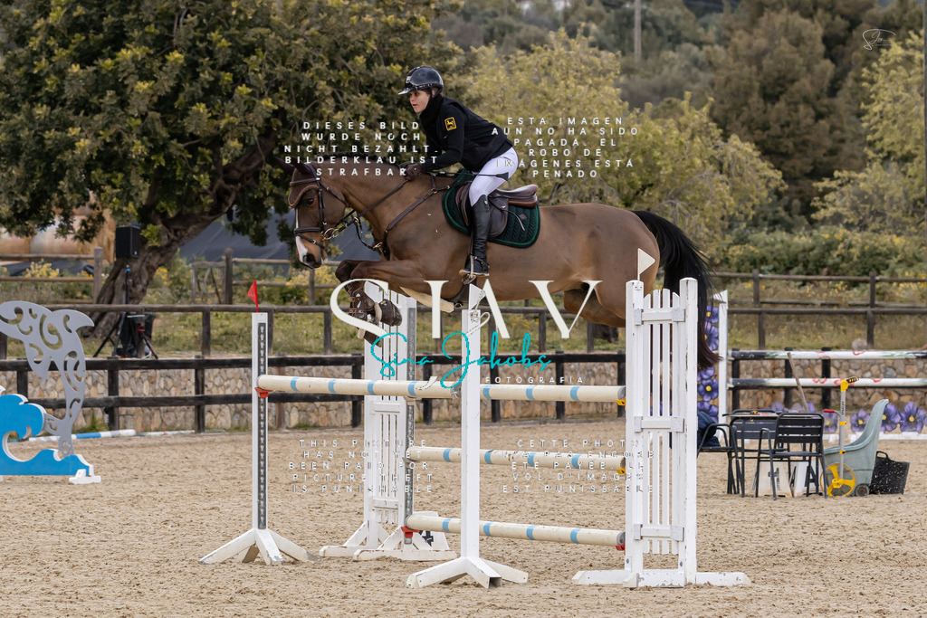 IMG_5160 | s-jay-photography - Realisiert mit Pictrs.com