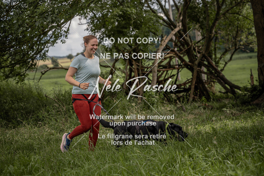 nelerasche_DoN_125 | nelerasche