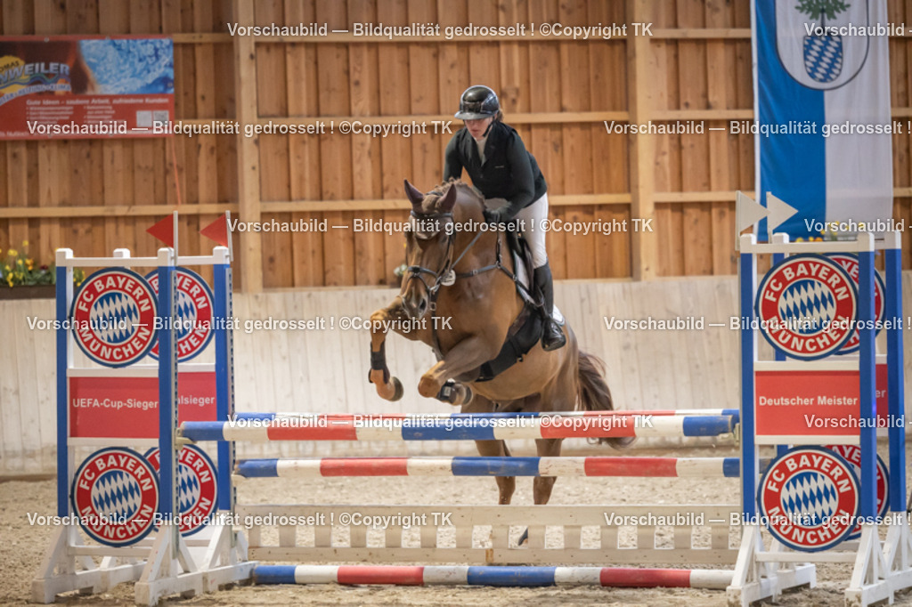 _D5A7377 | Emotionale Pferde- & People-Fotografie rund um Heidelberg, Leimen & Umgebung. Natürliche Fotos von Pferd, Mensch & Familie. Jetzt Termin sichern!