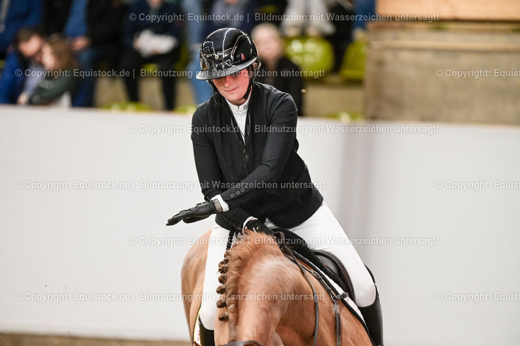 20260307_Hengstvorstellung-Marbach_0155 | equistock