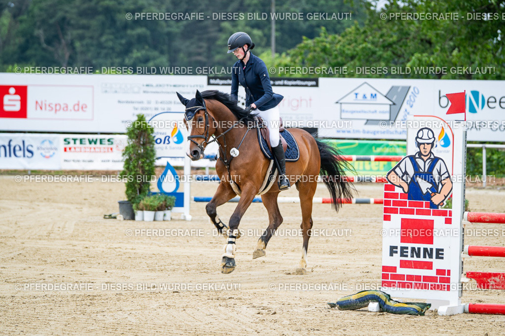 DSC03452 | Pferdegrafie