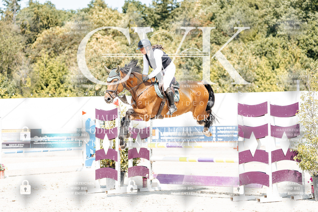 CK901087 | Turnierfotografie Pferdefotografie Trier Rheinland-Pfalz Pferdesport Reitsport Tierfotografie Sportfotografie Pferdevideo Pferdevideografie Equestrianvideography equestrianphotography  - Realisiert mit Pictrs.com