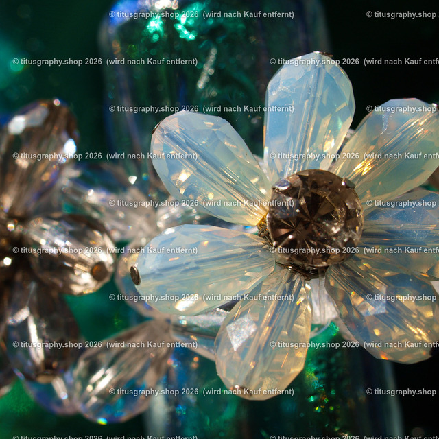 P1063769_edited | Fotokunstarbeit aus der INSTAGRAM-Gallerie auf titusgraphy.eu - Realisiert mit Pictrs.com