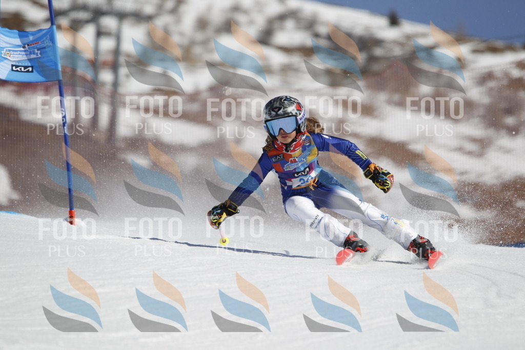 _U3G9088 | holidayphoto