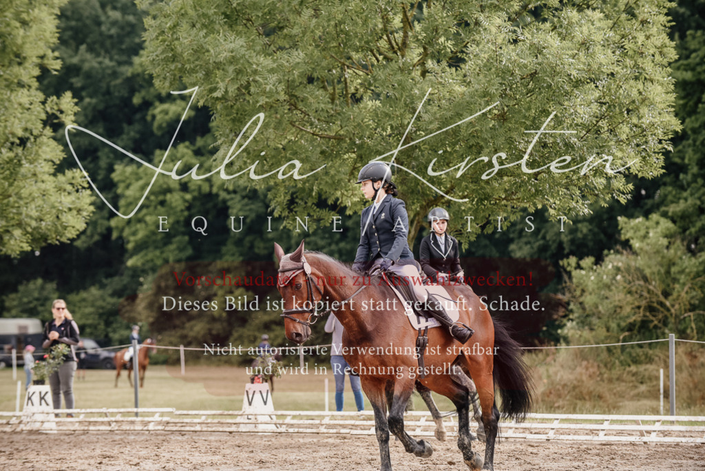 DSC_8638 | Pferde- und Turnierfotografie in Westsachsen. Pferdeportraits, Auftragszeichnungen und intuitive Kunst.