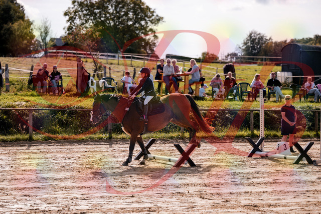 2026_10_03_Siefer-Hof_143808_Z81_07802857 | Professionelle Reitsport-, Turnier- und Eventfotografie von Robert Broda. Galerien mit ausgewählten und bearbeiteten Bildern direkt online ansehen und bestellen.