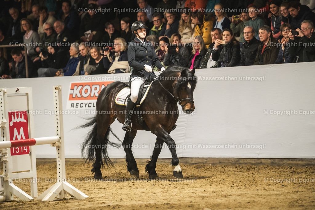 20240302_Hengstvorstellung_Marbach_TOMsPiC_0300-2 | equistock