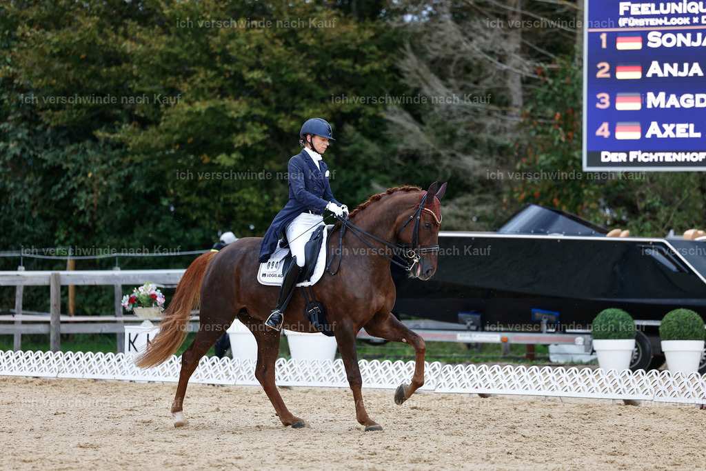8_1-094-Klasse S_  -StoibPH-3853 | working equitationturnier fotograf videograf stoibphotography marixx film working equitation deutschland reitsport turnierfotografie eventfotografie equestrian events