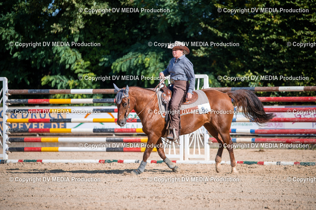 ZS1_0721 | dv-media-shop - Realisiert mit Pictrs.com