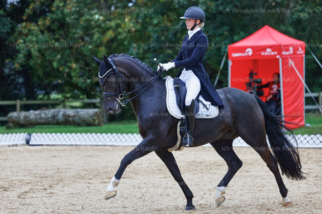 8_1-212-Klasse S_  -StoibPH-3932 | working equitationturnier fotograf videograf stoibphotography marixx film working equitation deutschland reitsport turnierfotografie eventfotografie equestrian events