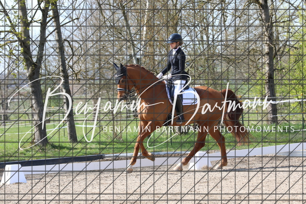 AZ2A5805 | Benjamin Bartmann Photomoments