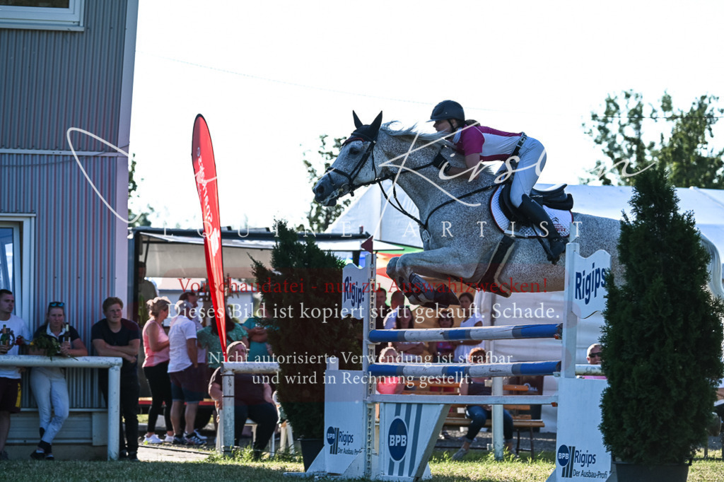 DSC_3133 | Pferde- und Turnierfotografie in Westsachsen. Pferdeportraits, Auftragszeichnungen und intuitive Kunst.