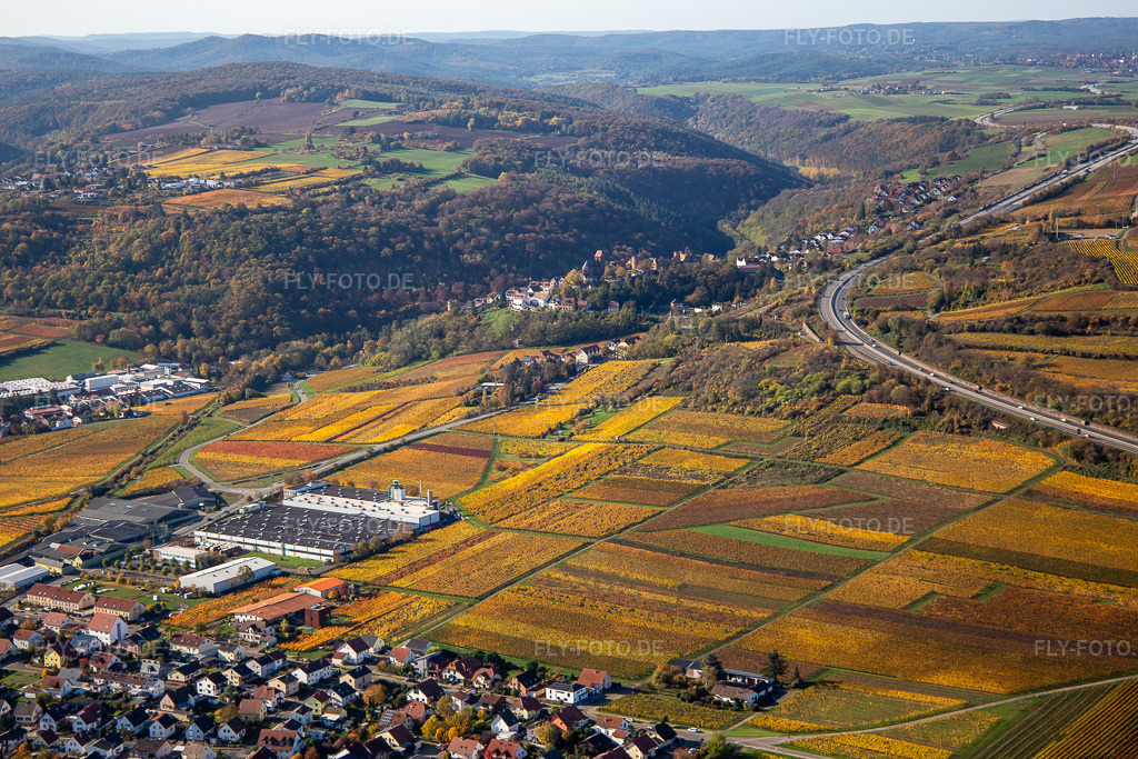 Luftbild: Herbstliche verfärbte Weinberge zwischen Sausenheim und Neuleiningen in Neuleiningen im Bundesland Rheinland-Pfalz in Deutschland. Foto: IMG_123556.jpg vom 31.10.2020 durch Werner Riehm/FLY-FOTO.de