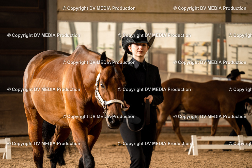 Heiligenwald Tag 1-49 | dv-media-shop - Realisiert mit Pictrs.com