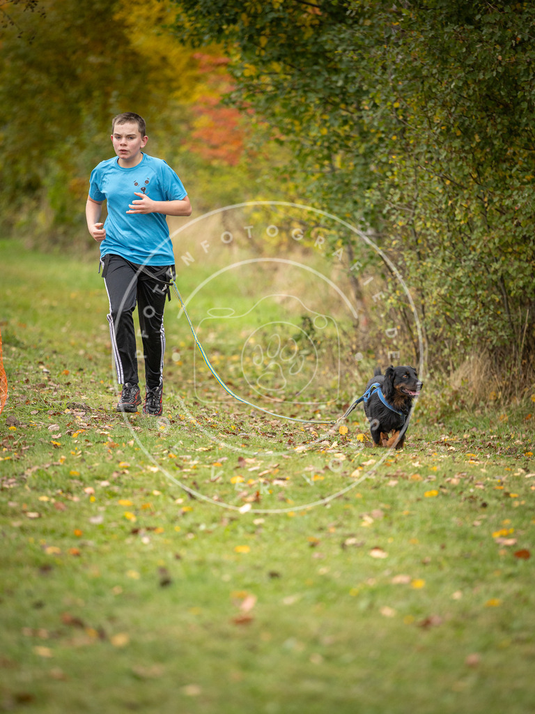 Pfotenfotografie_DV3A3597 | Hundefotografie, Tierfotograf, Pfotenfotografie, Fotoshooting Hund, Hunde Portrait, Hundesport, Hundeportraits, Heideshooting, Hunde, Sportfotograf, Hundefotograf, Turnierhundsport, THS,  - Realisiert mit Pictrs.com