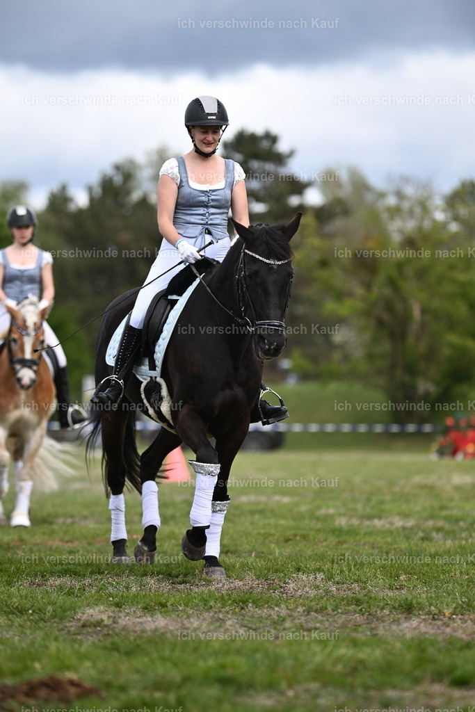 PI26_Show_Sara_Landvogt_226_9981.JPG | working equitationturnier fotograf videograf stoibphotography marixx film working equitation deutschland reitsport turnierfotografie eventfotografie equestrian events