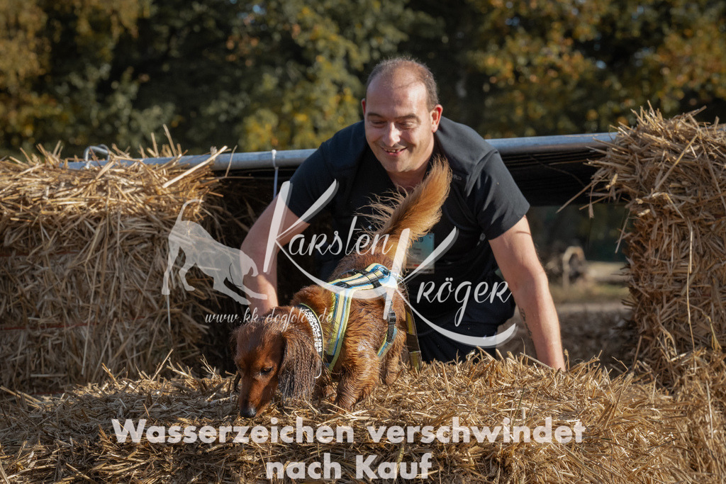 0956_ZZ95629 | kk-dogfotos