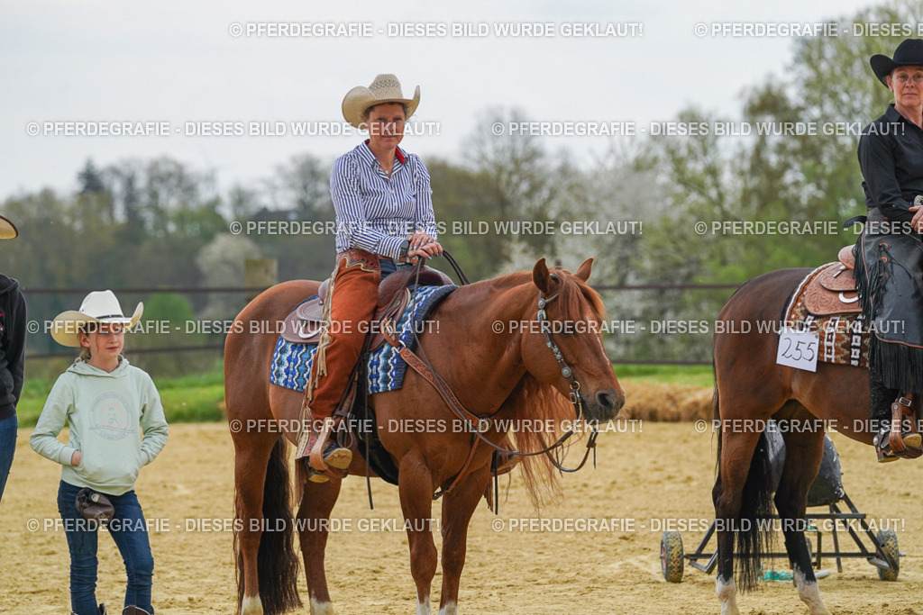 DSC07848 | Pferdegrafie