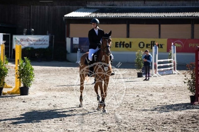 2B4A0248 | pixelfaenger - Realisiert mit Pictrs.com