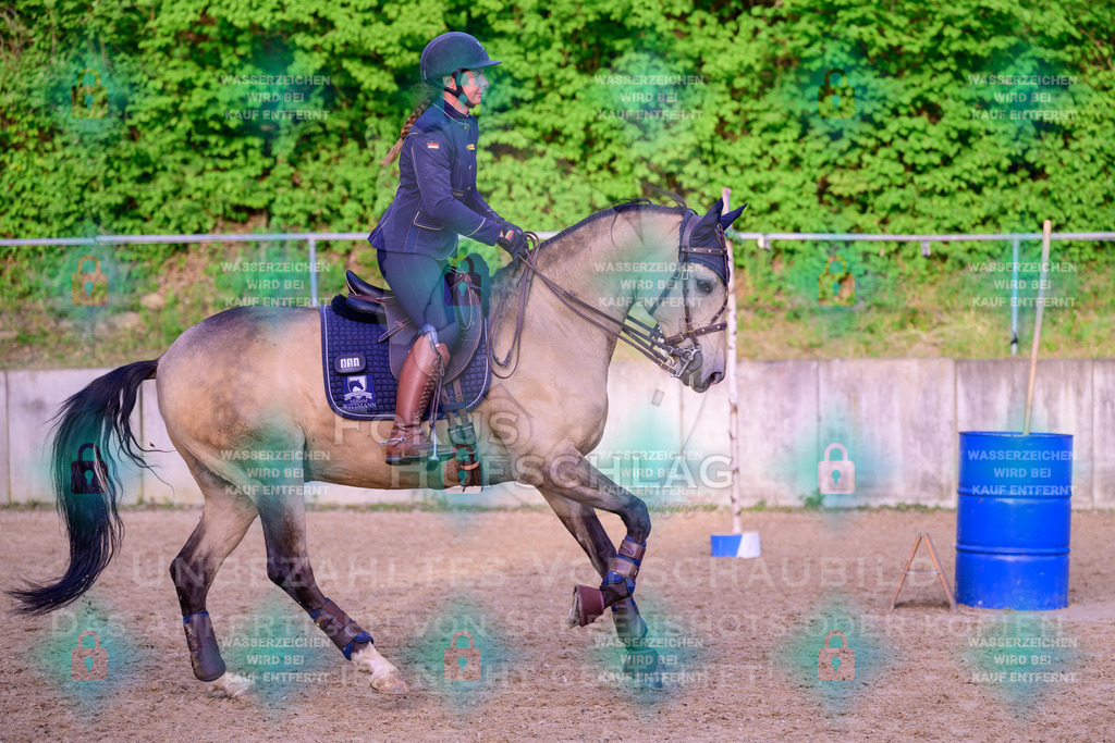 02052026-Giesenbach-03-Speedtrail-1324 | Fokus Hufschlag Fotografie - Realisiert mit Pictrs.com