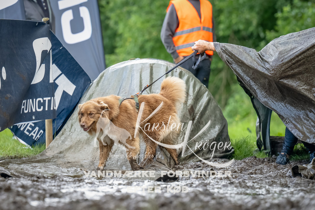 1151_ZZ94522-Bearbeitet | kk-dogfotos