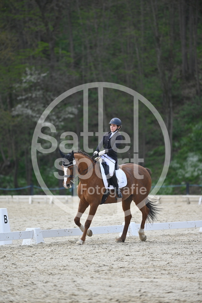 DSC_4830 | sattelsport - Realisiert mit Pictrs.com