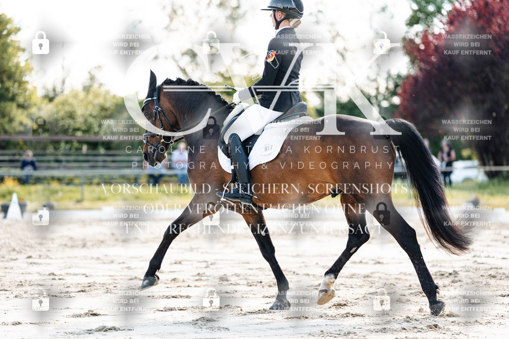CK909540 | Turnierfotografie Pferdefotografie Trier Rheinland-Pfalz Pferdesport Reitsport Tierfotografie Sportfotografie Pferdevideo Pferdevideografie Equestrianvideography equestrianphotography  - Realisiert mit Pictrs.com