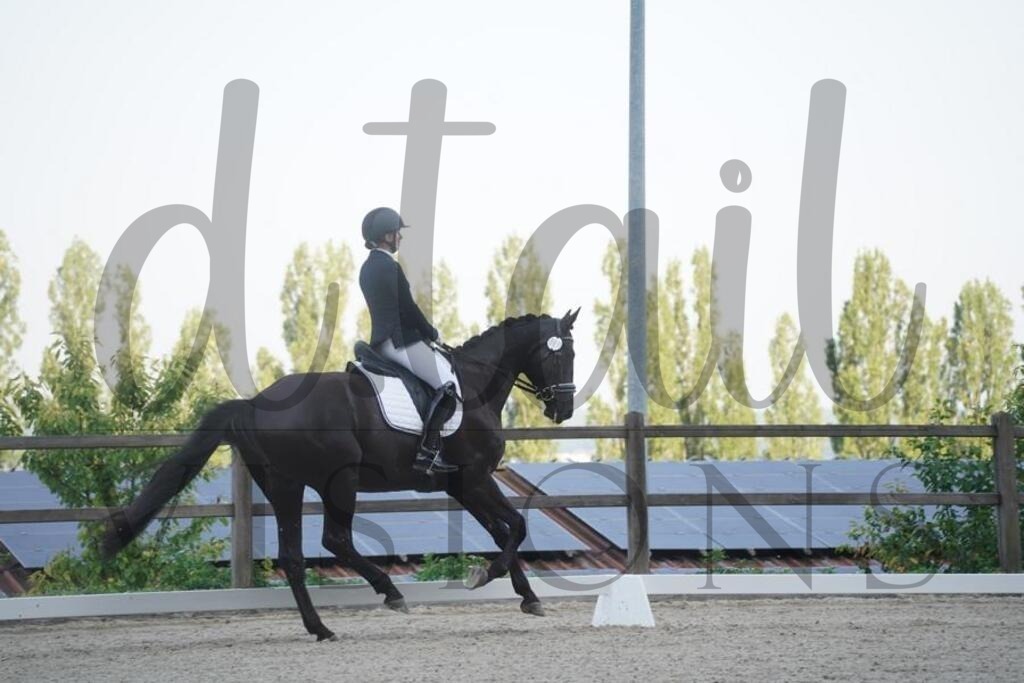 tgbhfreitag (96) | d.tail Visions - Shop - Realisiert mit Pictrs.com