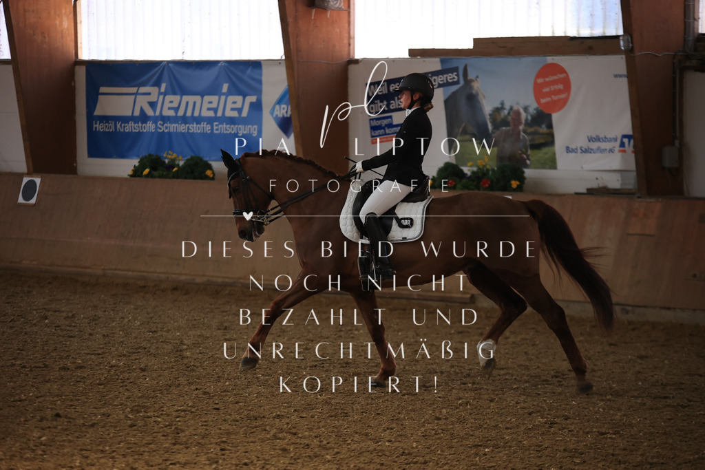 IMGT3386 | pl-fotografie