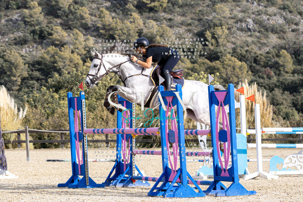 IMG_4116 | s-jay-photography - Realisiert mit Pictrs.com