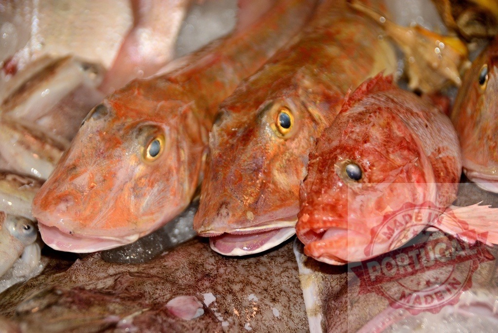 Fresh red gurnard fish preparing for market sale | Red gurnard fish displaying fresh catch on a seafood market stall - Realized with Pictrs.com