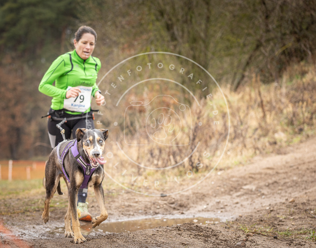 DV3A0330 | Hundefotografie, Tierfotograf, Pfotenfotografie, Fotoshooting Hund, Hunde Portrait, Hundesport, Hundeportraits, Heideshooting, Hunde, Sportfotograf, Hundefotograf, Turnierhundsport, THS,  - Realisiert mit Pictrs.com