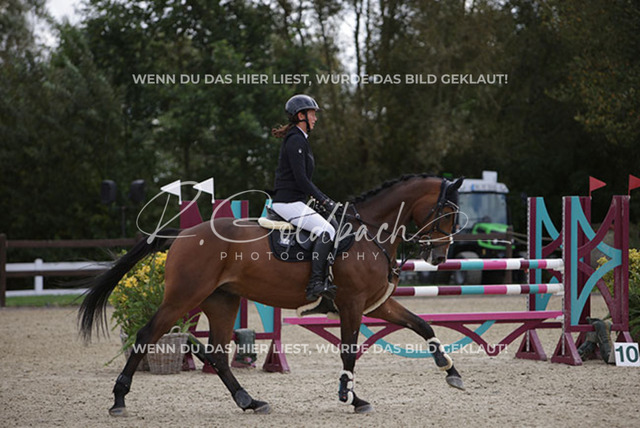 1J2A1815Sophie Kessel_ Universe 10_ Kn954_ Havekost | Foto- und Videografie für alles rund ums Pferd. Hochwertige Bilder und Videos vom Spring- und Dressurreiten, Voltigieren & mehr. Jetzt aktuelle Veranstaltungen und Preise im Shop ansehen. - Realisiert mit Pictrs.com
