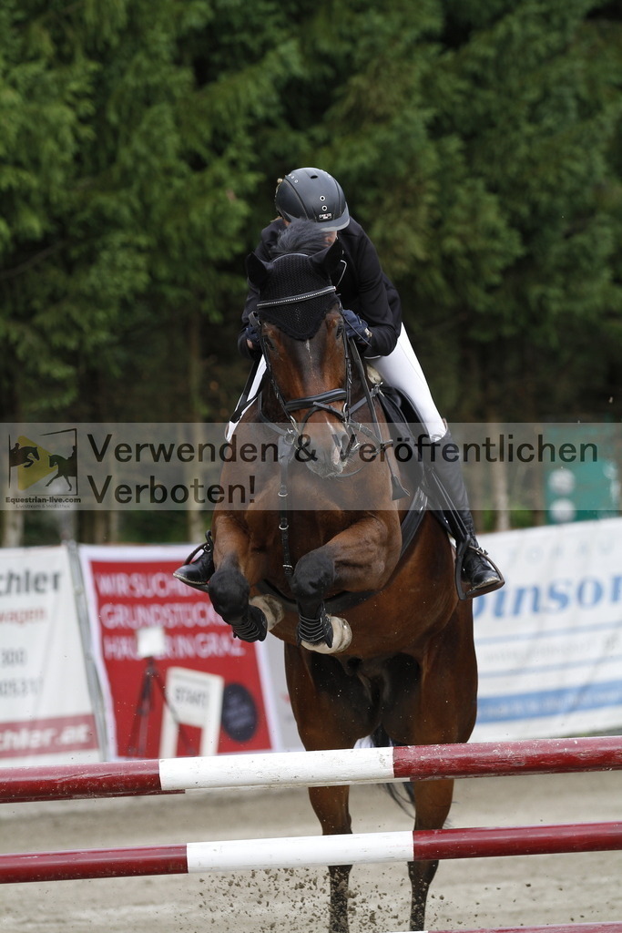 _MG_8939 | equestrian-live-com