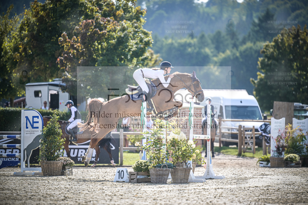 DOS_9000 | Entdecke hochwertige Reitturnierfotos von Foto Oger. Professionell, emotional und authentisch – jetzt Lieblingsmomente im Shop bestellen. - Realisiert mit Pictrs.com