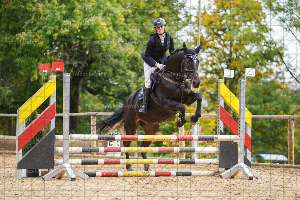 20221009-FAH08487 | Diessen am Ammersee, 2022, Dressur- und Springturnier, Reitsportbilder, Turnierfotografen Bayern, Pferdefotografen, Fotoagentur Herrmann, Turnierbilder