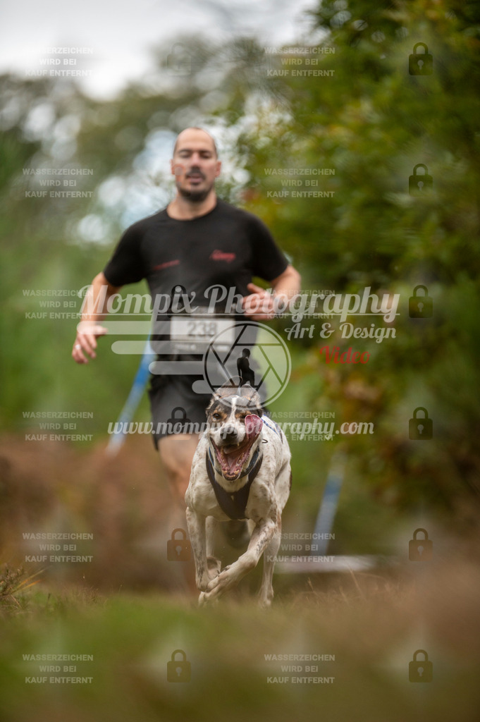 TSB_2023_E5_Canicross-24 | PayLife