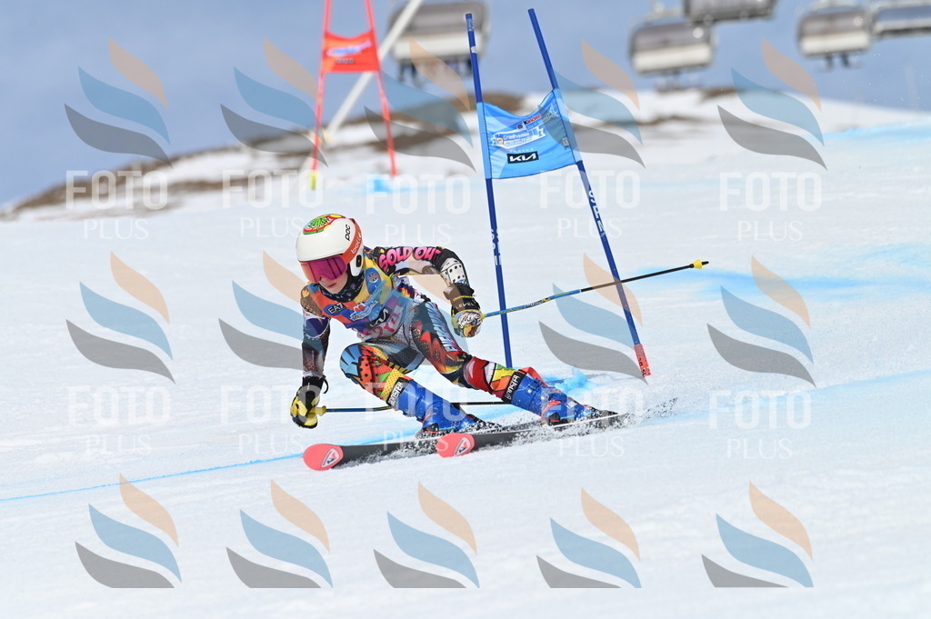 BGV_1205 | holidayphoto