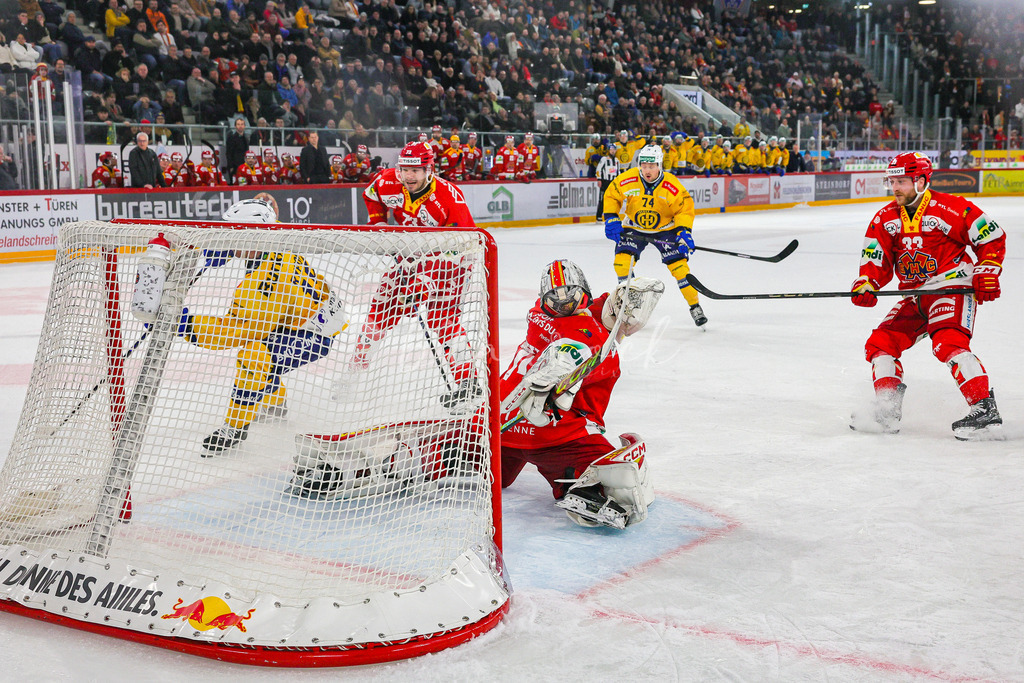 EHCB vs HCD 20260106_wb-0868 | Sportbilder, Sportfotograf, Hochzeits- und Eventfotografin, Flugshows, Portraits und Tiershooting, Aviation, Downhill, Nationalleague, Swissleague, International