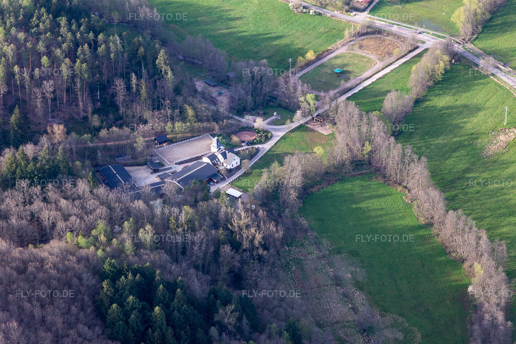 Luftbild: Gut Waldeck in Eußerthal im Bundesland Rheinland-Pfalz in Deutschland. – Foto: IMG_131112.jpg vom 12.04.2022 durch Werner Riehm/FLY-FOTO.de – Auflösung des Originals: 5472 x 3648 px – SINGLE FOOTING - SPEED RACKING HORSES | vogelstockerhof