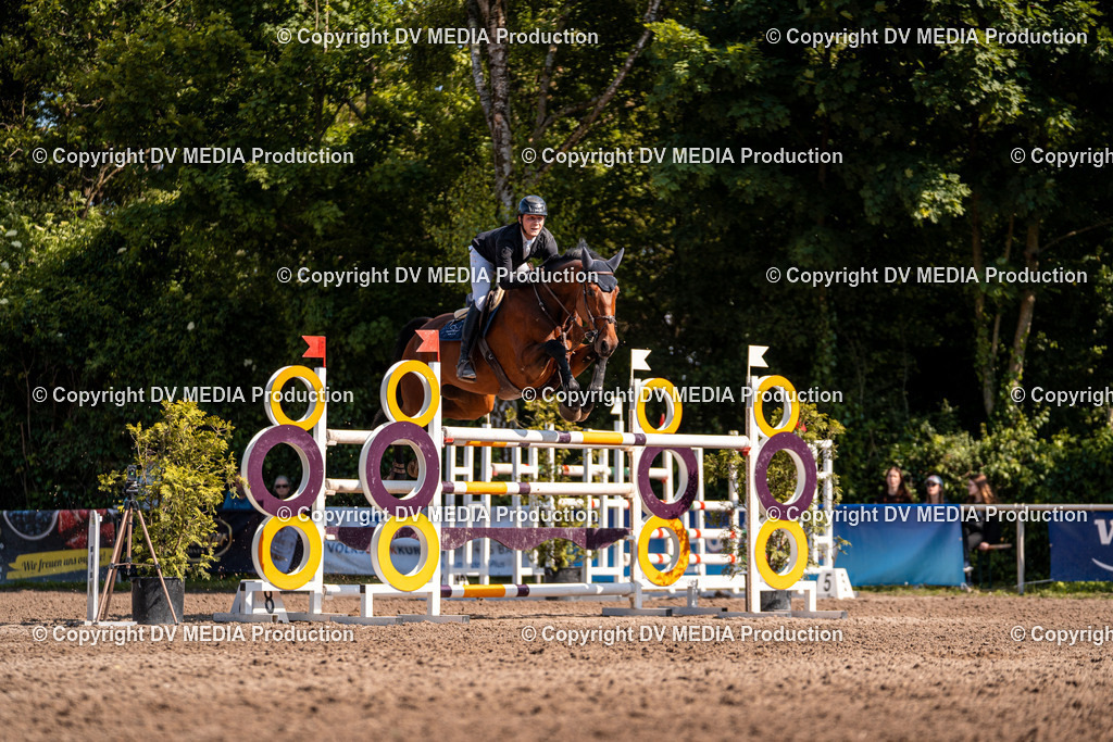 Eppelheim Tag 3-916 | dv-media-shop - Realisiert mit Pictrs.com