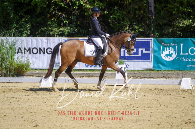 DKP42100 | Turniersportfotografie; Pferdefotografie; Dressurfotografie