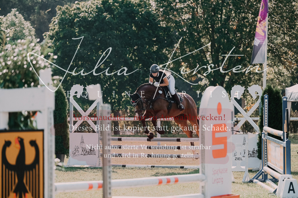 DSC_4677 | Pferde- und Turnierfotografie in Westsachsen. Pferdeportraits, Auftragszeichnungen und intuitive Kunst.