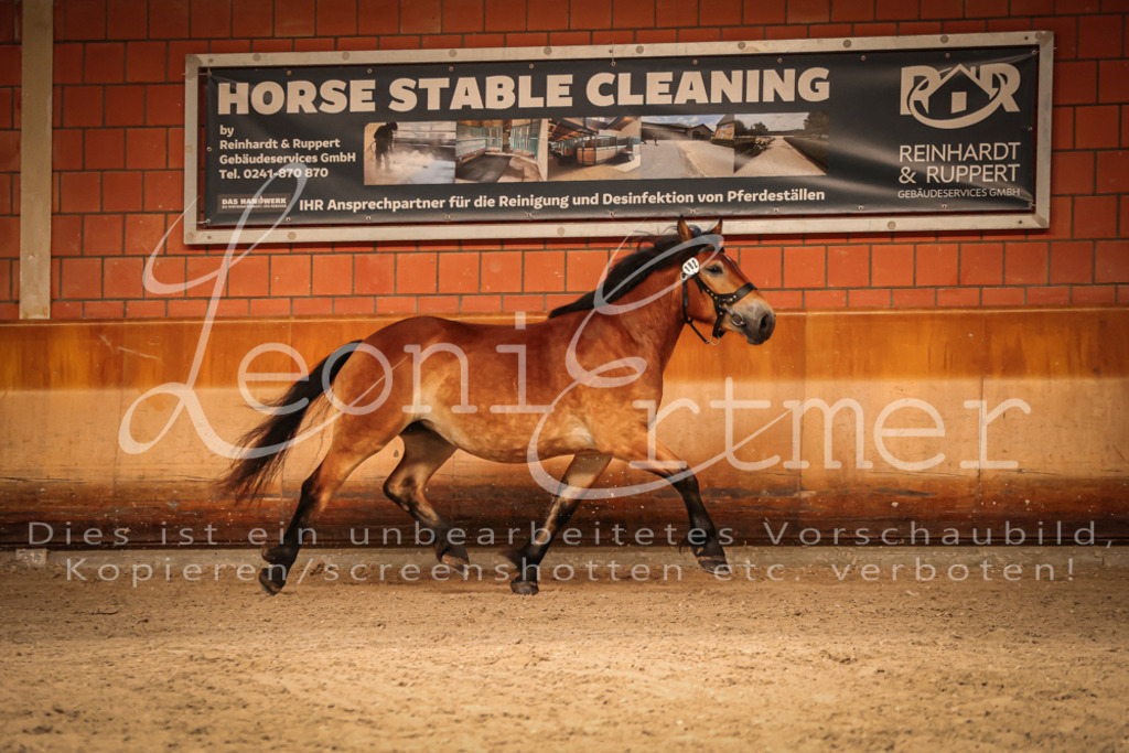 SaFL00097 | Leoni Ertmer Photography - Realisiert mit Pictrs.com