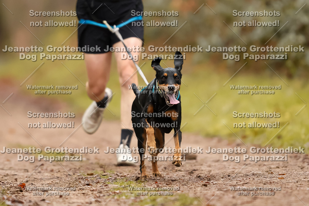 Dog Paparazzi - Speedhunter Mannheim  2025-71 | Dog Paparazzi Jeanette Grottendiek Fotografie & Videografie