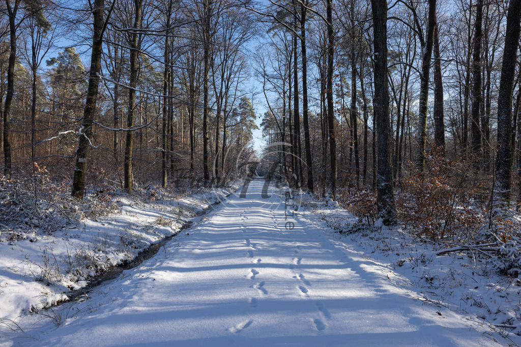 _X0A6811-Edit | Frank Herberich Fotografie, Frank Herberich, Fotografie, Hochzeit, Portrait, St. Peter Ording, Ording, Westerhever, Nordsee, Frank Fotografie, Hardheim,  Odenwald,Walldürn, Band,Eventfotografie - Realisiert mit Pictrs.com