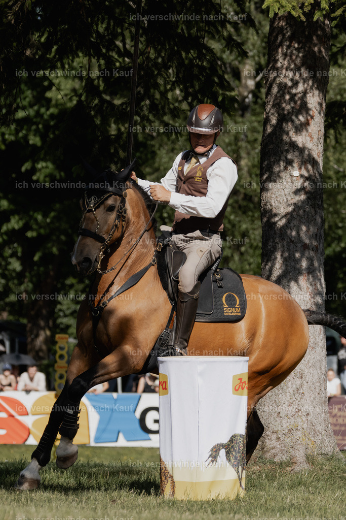 _AM10788 | Pferd International München 2025