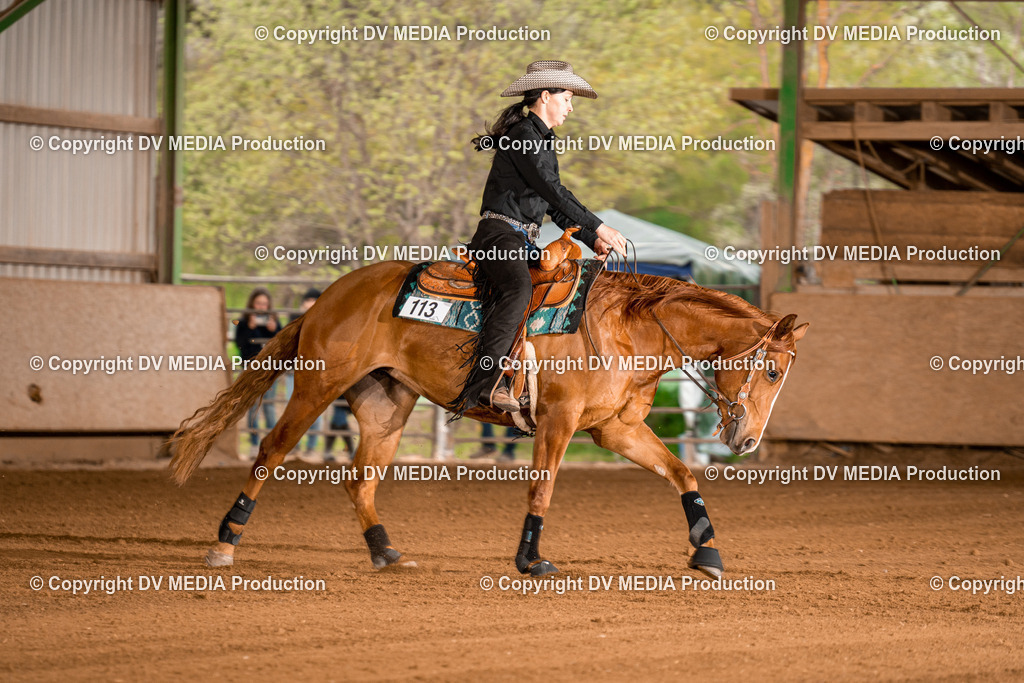 BA301214 | dv-media-shop - Realisiert mit Pictrs.com