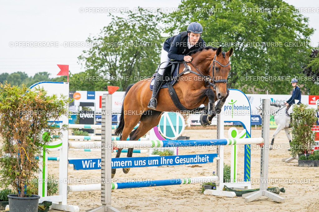 DSC09702 | Pferdegrafie