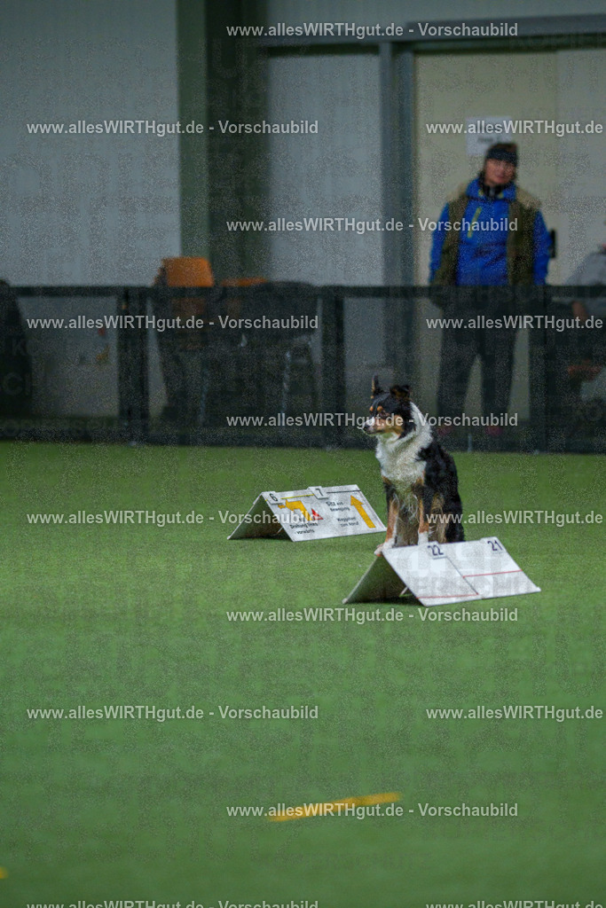 7R503129 | Professionelle Tierfotografie in Mönchengladbach von Daniel Wirth (allesWIRTHgut). Liebevolle & natürliche Bilder von Hunden & Katzen für unvergessliche Erinnerungen.